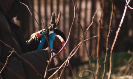 Ratschläge für Arbeiten im Garten