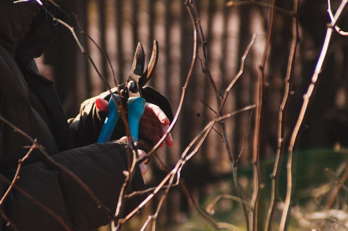Ratschläge für Arbeiten im Garten
