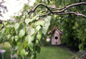 Futterhaus für Vögel