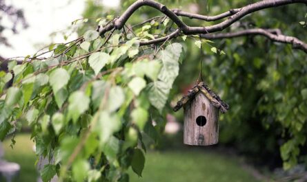 Futterhaus für Vögel